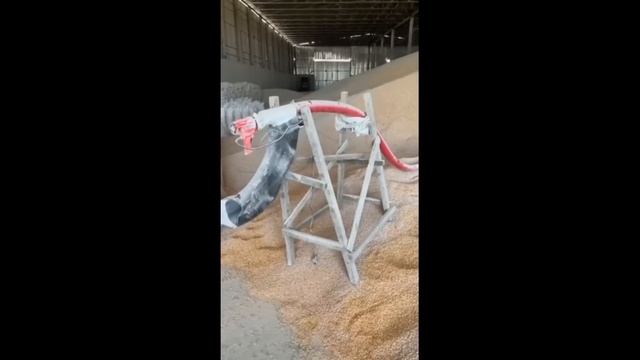 Большие быки растут как на дрожжах смотреть онлайн