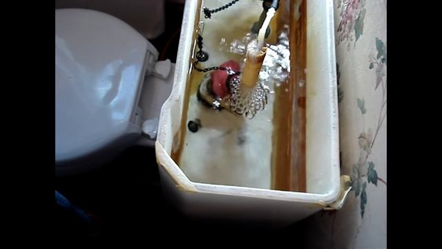 Toilet Not Clogged But Not Flushing Properly