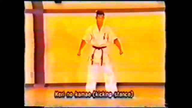 Дайдо-Джуку каратэ. Такаси Адзума. Базовая техника. смотреть онлайн