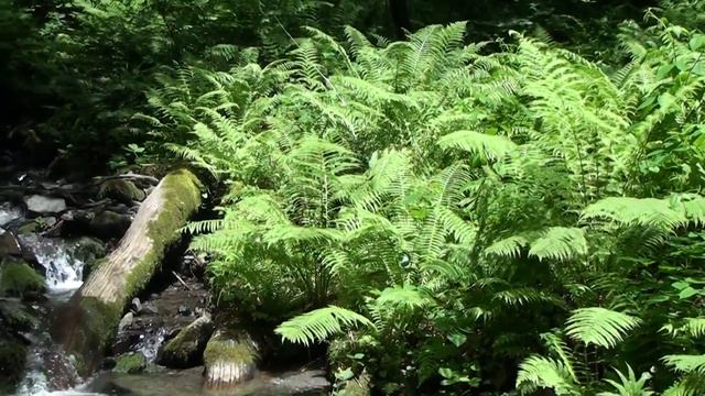 IYULTRAVELS. Роза Хутор летом. Часть 3. Дорога троллей смотреть онлайн