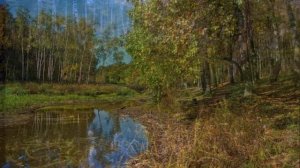 «РЕЧКА»... (Фото Николая Будина (Тула) - Поёт гармонист Иван Плешивцев)