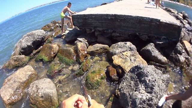 Рыбалка в Анапе на пляже Высокий берег смотреть онлайн