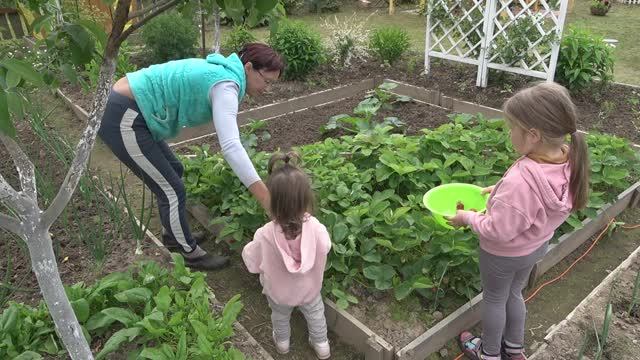 6 соток 21 июня 2023 года. Хроника.