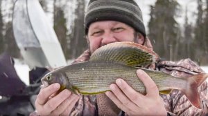 С полем!: «Целуем и отпускаем?»