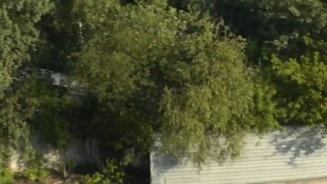 БАКИНСКИЕ голуби Москва как на ладони