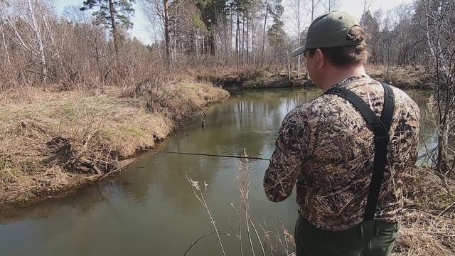 ДАЖЕ не ждали ТАКИХ ПОКЛЕВОК в ЛУЖЕ. Рыбалка весной на малой речке.. смотреть онлайн