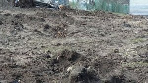 Корчевание пней и выравнивание участка трактором
