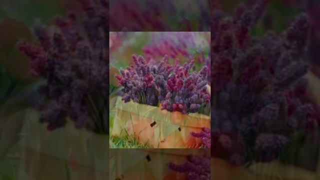 Свой в жизни путь! смотреть онлайн