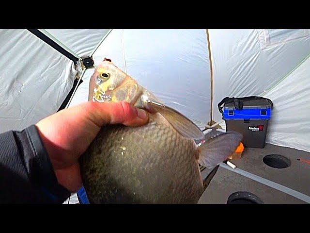 РЫБУ НЕКУДА ЛОЖИТЬ! ЛОЖИТ ПОПЛАВОК ОДИН ЗА ОДНИМ! ЗИМНЯЯ РЫБАЛКА С НОЧËВКОЙ смотреть онлайн