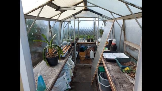 Micky P*s Gardening Sesh ; 5th to 16th Dec 2020 смотреть онлайн