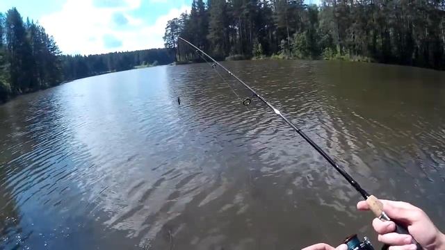 Интересная рыбалка-разведка на лесном пруду в Первоуральском округе 07.07.2018. смотреть онлайн