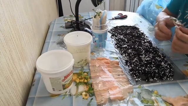 Как можно выращивать рассаду без индивидуальных стаканчиков. смотреть онлайн