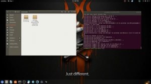 How to install Tar.gz programs in Linux?
