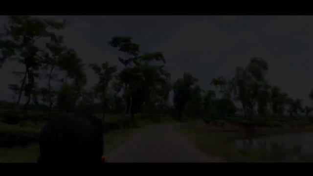 Camellia Lake | Shamshernagar | Sylhet | Sylhet Bangladesh