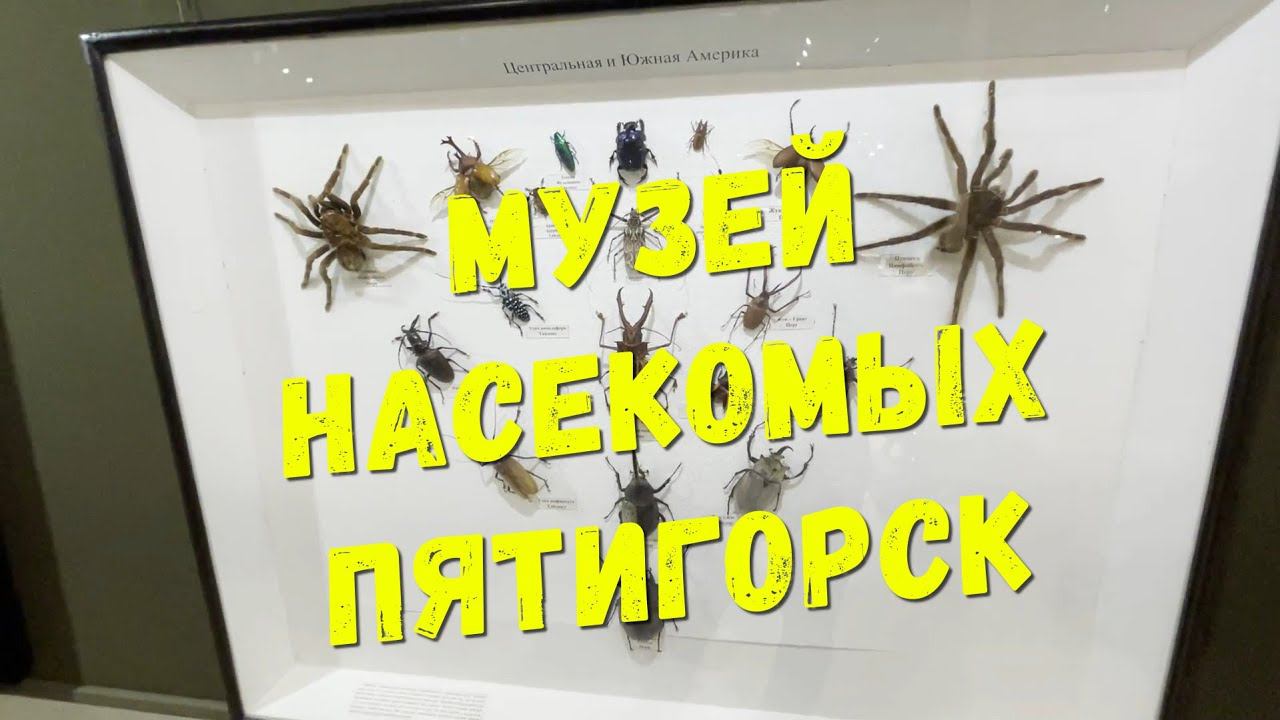 ПЯТИГОРСК Музей насекомых/ Экзотариум смотреть онлайн