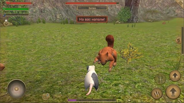 СИМУЛЯТОР МЫШИ #30 ОХОТИМСЯ на КОТА выполняем ЗАДАНИЯ в Mouse Simulator смотреть онлайн