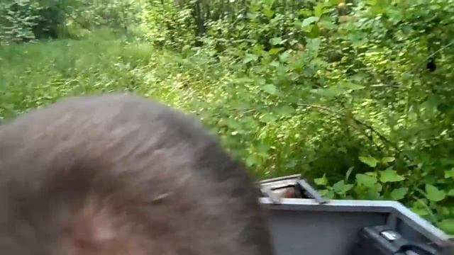 Гусеничный вездеход смотреть онлайн