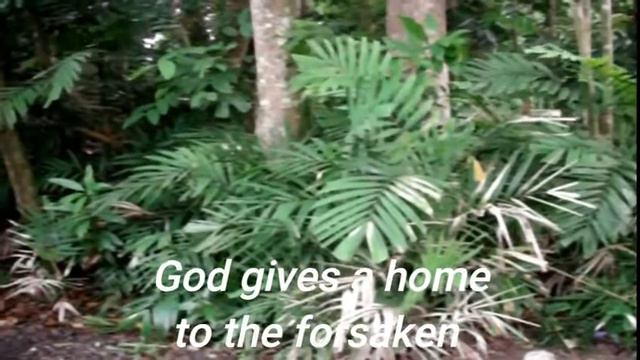 Psalm 68 God, in your goodness, you have made a home for the poor смотреть онлайн