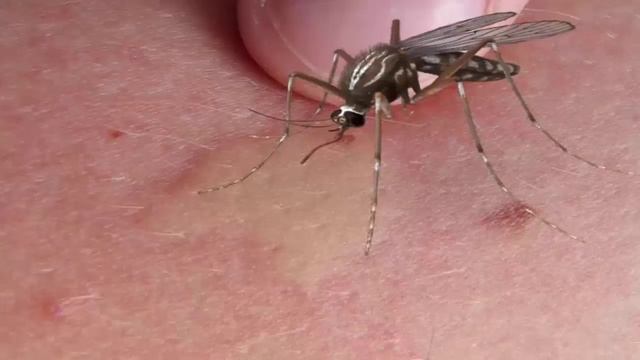 Истории и тайны