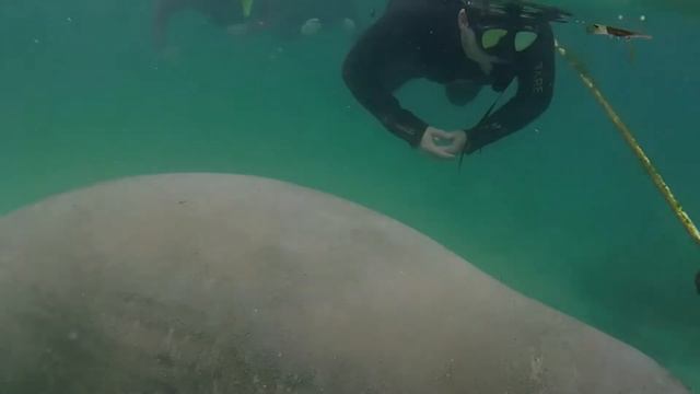 Olympus TG-6 As A Point-and-shoot Underwater Camera