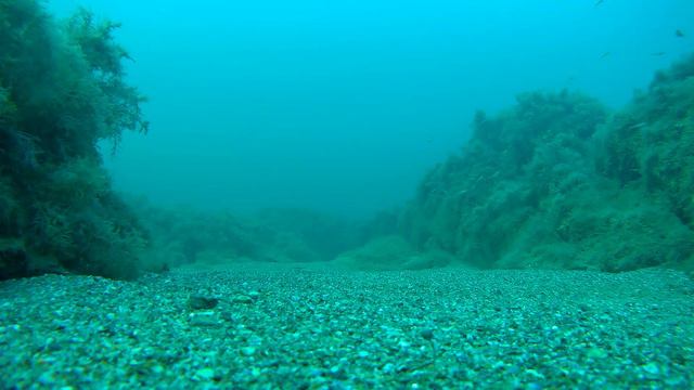 Теплый мутный август Черного моря. Мелководье. смотреть онлайн