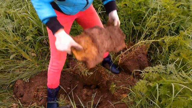 Коп в высокой траве. Поиск металла у силосной ямы смотреть онлайн