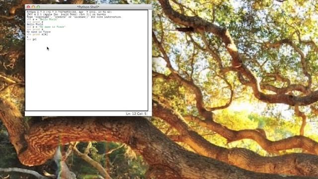 Basic Python: Character Variables смотреть онлайн