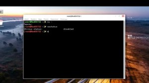 Установка Dallas Lock Linux на ПК с предустановленной системой RED OS