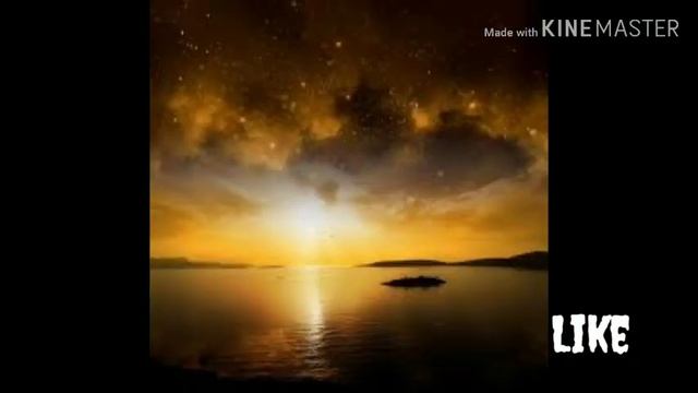 Oʻqotar burji haqida ma'lumot/Укотар буржи хакида малумот смотреть онлайн