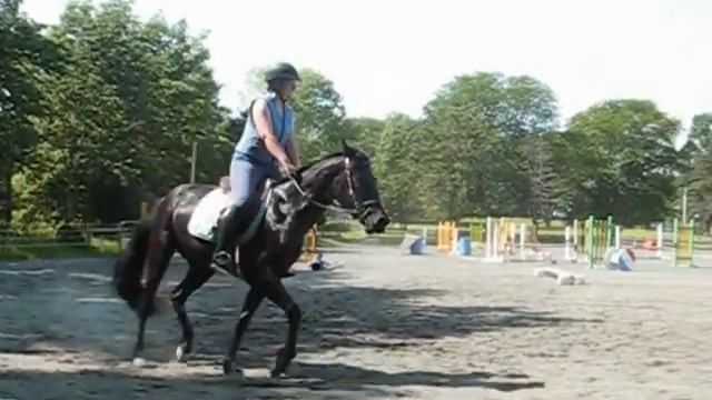 java and I lesson (short version) смотреть онлайн