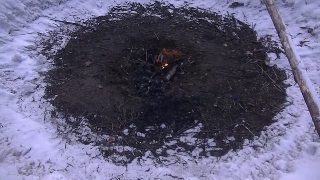 Пеший поход по тайге с собакой. /глухарь/факел/тимоша/дом/ Коми край. Ukhta. смотреть онлайн