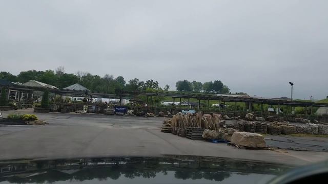 New Palm Trees | New Nursery | Plant Haul | Carpenter Bees смотреть онлайн