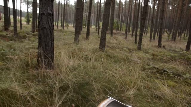 Опять круто спел) смотреть онлайн
