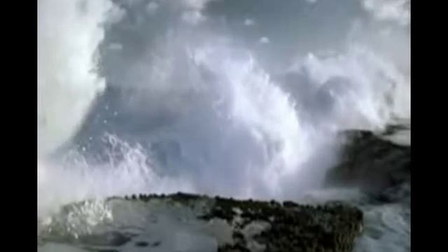 BUREVESTNIK смотреть онлайн