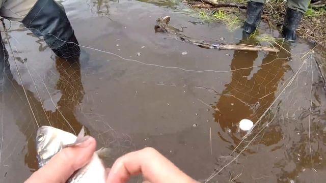 РЫБЫ ПРОСТО ВАЛОМ! РЫБАЛКА НА ХАПУГУ ХЛОПОК!