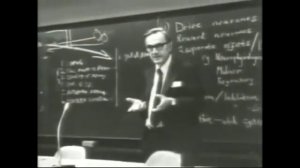 Известный эксперимент с крысой и центром удовольствия