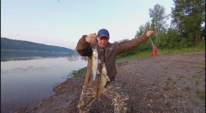 ТАКТИКА С ПОПЛАВКОМ - РЕЗИНКА ЛОВИТ СУДАКА САМА!!