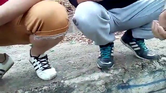 Семки есть , а ели найду ? смотреть онлайн
