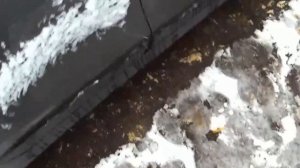 Куда и как установить домкрат на Kia Rio