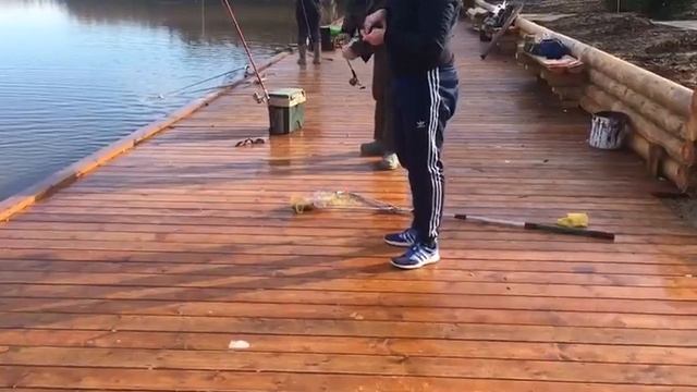 РК Марлин.утро до запуска.клев стабилен смотреть онлайн