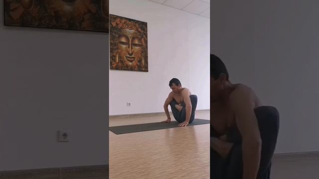 варианты урдхва куккутасананы #йога #асана #yoga #yogaeveryday#workout смотреть онлайн