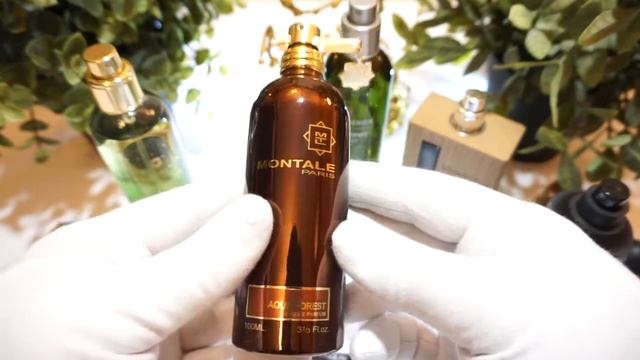 Обзор парфюмерии – Ароматы Леса | Запахи природы