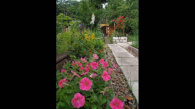 Красивая клумба своими руками. Мой опыт.