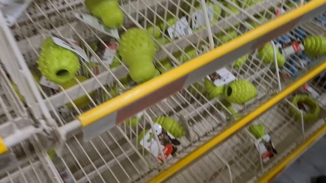 Лежанки и игрушки для собак. Как выбрать? смотреть онлайн