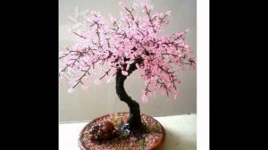 Сакура из бисера своими руками