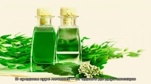 Канефрон при лечении цистита: отзывы и аналоги