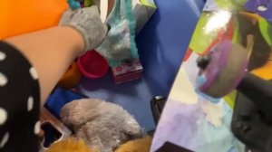 В ПОИСКАХ КЛАДА НА СВАЛКЕ Барахолка в США #OlyaSineevaUSA