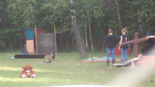 Мондьоринг-1, Ясенево, 21 августа 2016 год