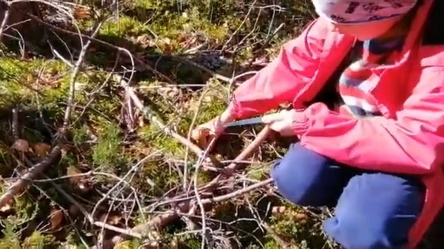 Андриан и Подосиновик2