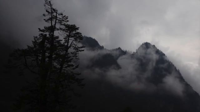 Sikkim Diaries смотреть онлайн